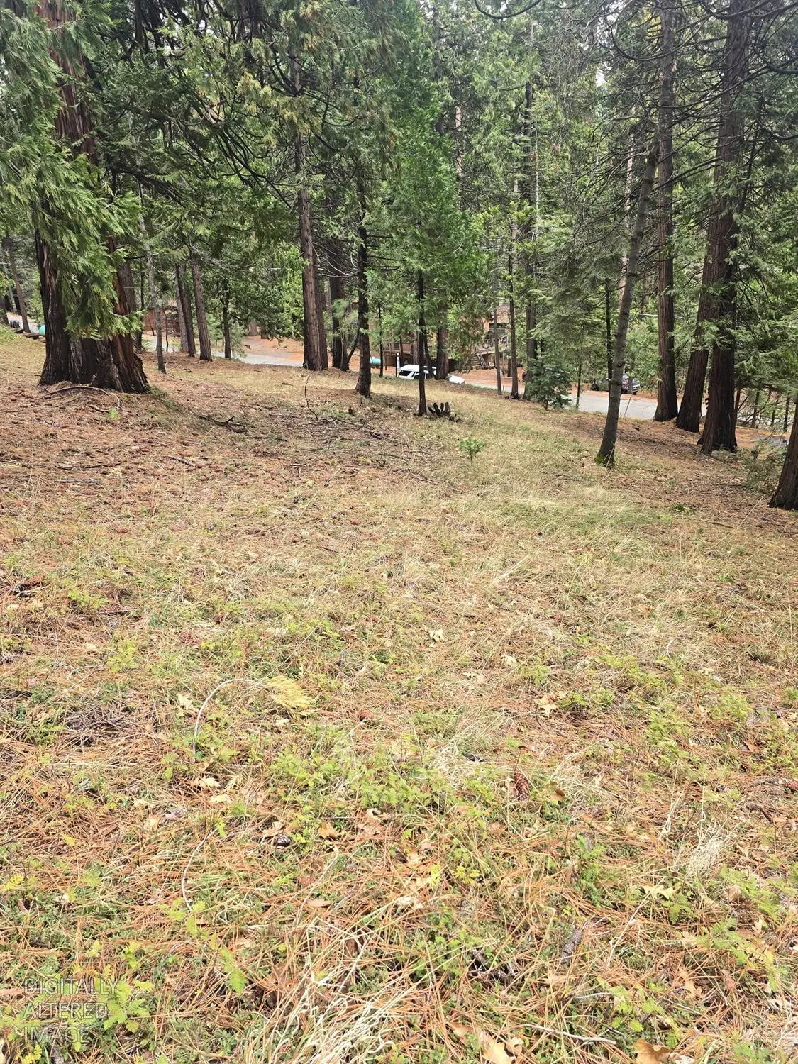 594 Dean Way, Arnold, CA 95223 - #1