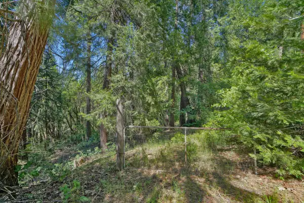 4681 Glenwood Drive, Camino, CA 95709