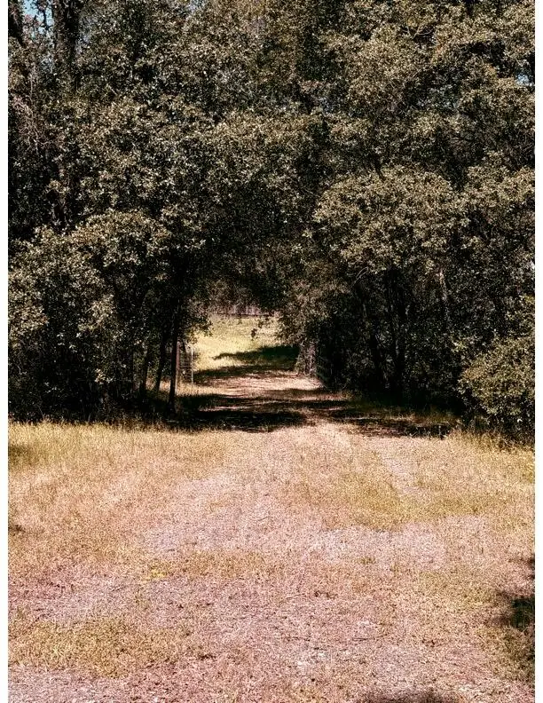 6289 Bald Mountain Road, Browns Valley, CA 95918 - #3