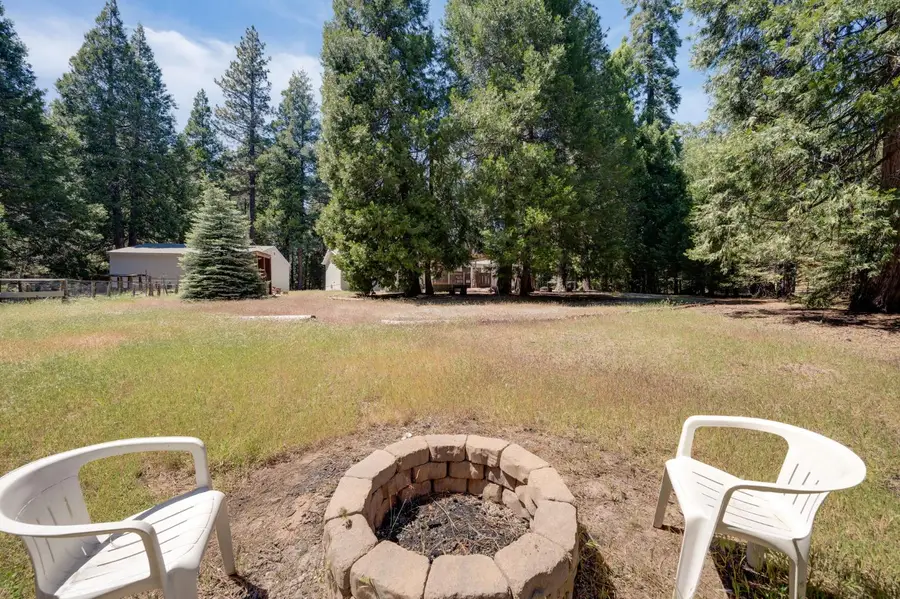 28722 Wood Road, Pioneer, CA 95666 - #2