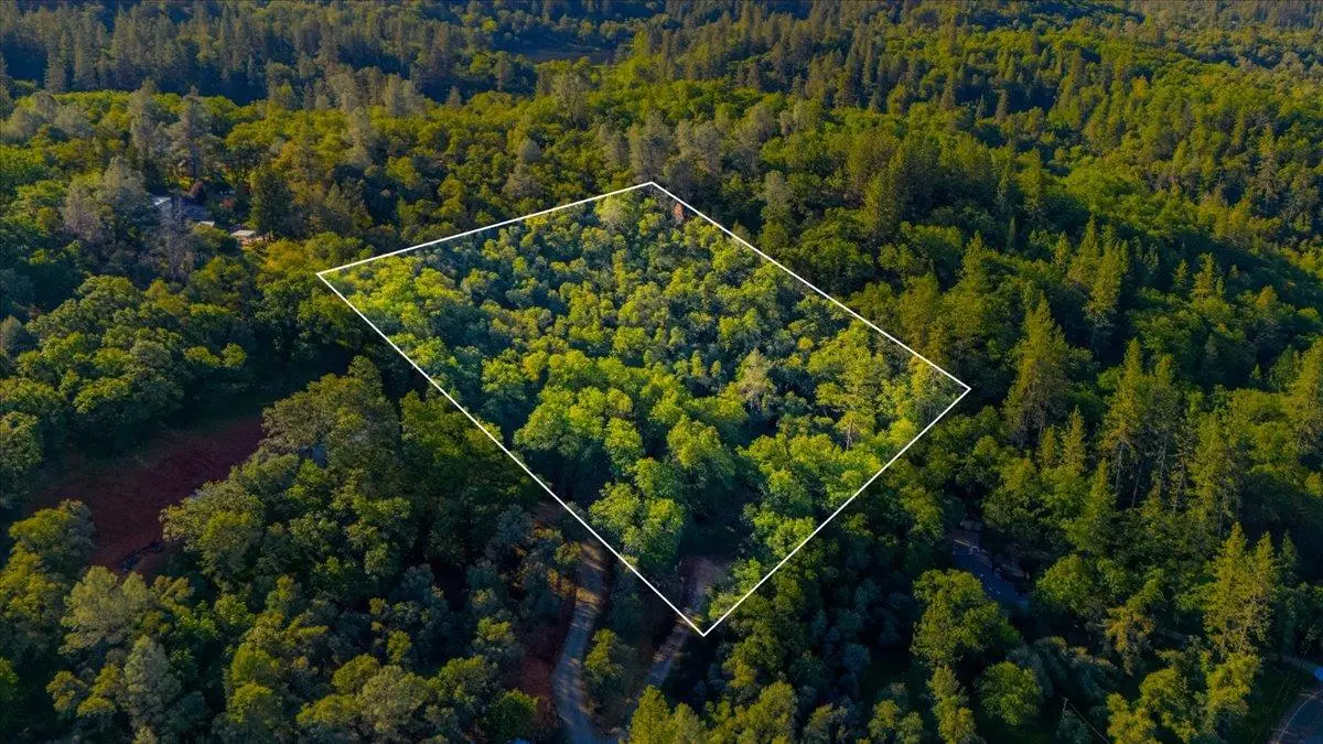 16095 Auburn Road, Grass Valley, CA 95949 - #1