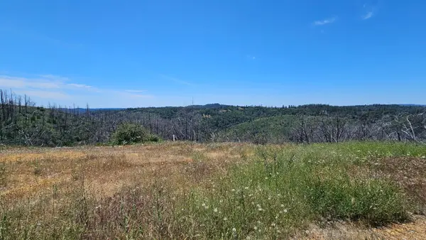 24920 Saddleback Lane, Colfax, CA 95713