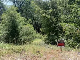 27880 Debbie Court, Pioneer, CA 95666 - #2