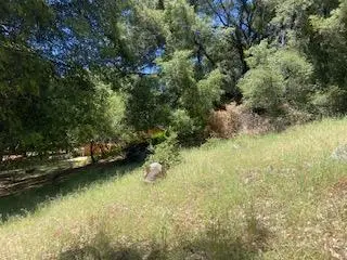 27880 Debbie Court, Pioneer, CA 95666 - #3