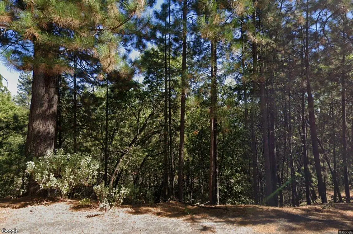 609 Canyon View Drive, Hathaway Pines, CA 95233 - #1