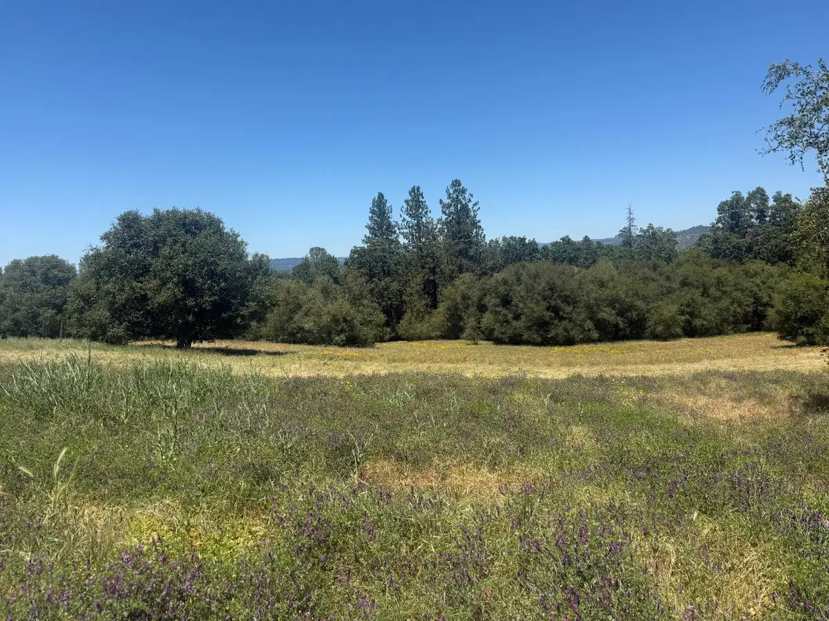 2322 Myrick Road, Somerset, CA 95684 - #1