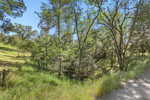 0 Hoot Owl Ravine Road, Placerville, CA 95667