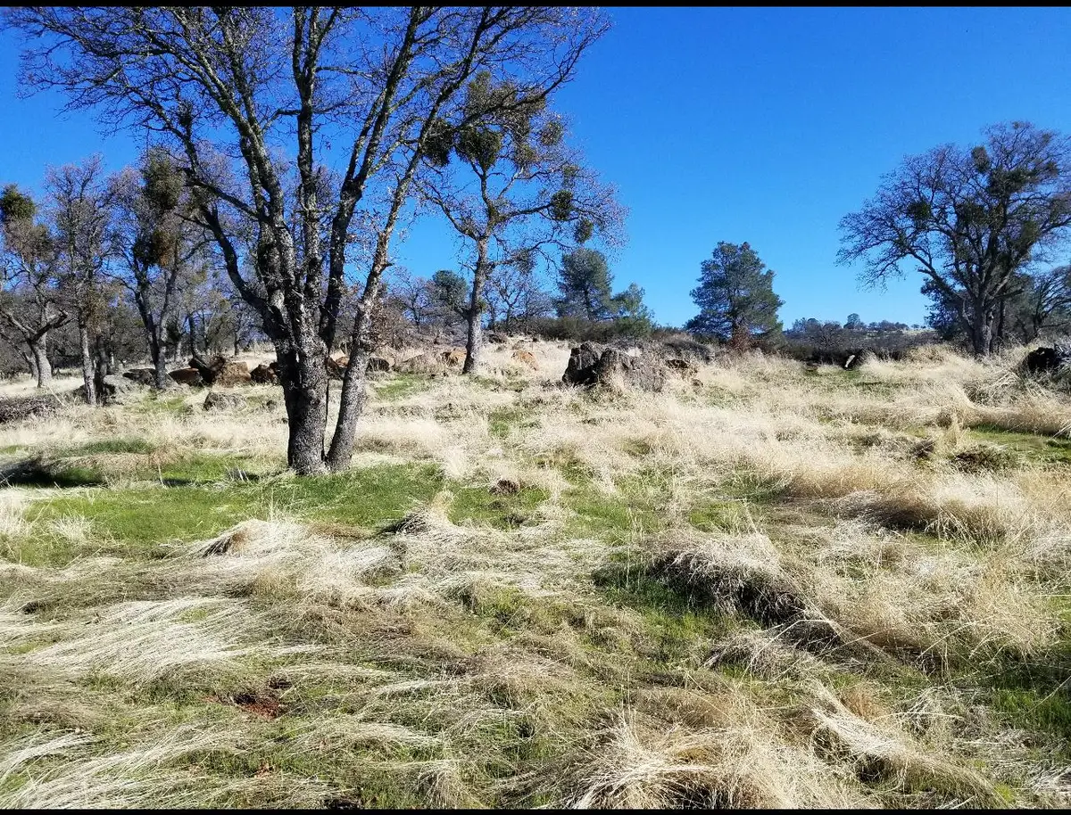 0 Goodell Rd, Valley Springs, CA 95252 - #1