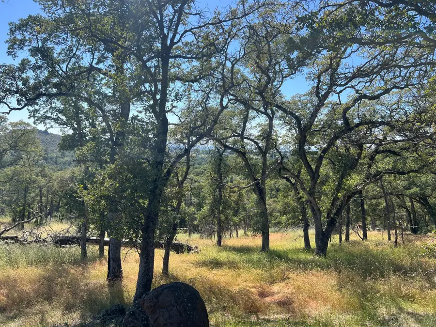 21 Strongbox Court, Browns Valley, CA 95918 - #2