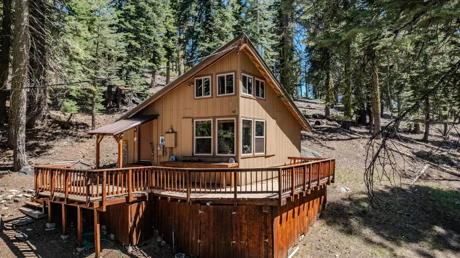 17740 Pardoes Road, Pioneer, CA 95666 - #3