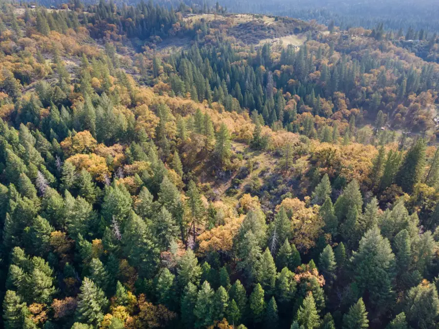 0 Starkes Grade Road, Pollock Pines, CA 95726 - #2