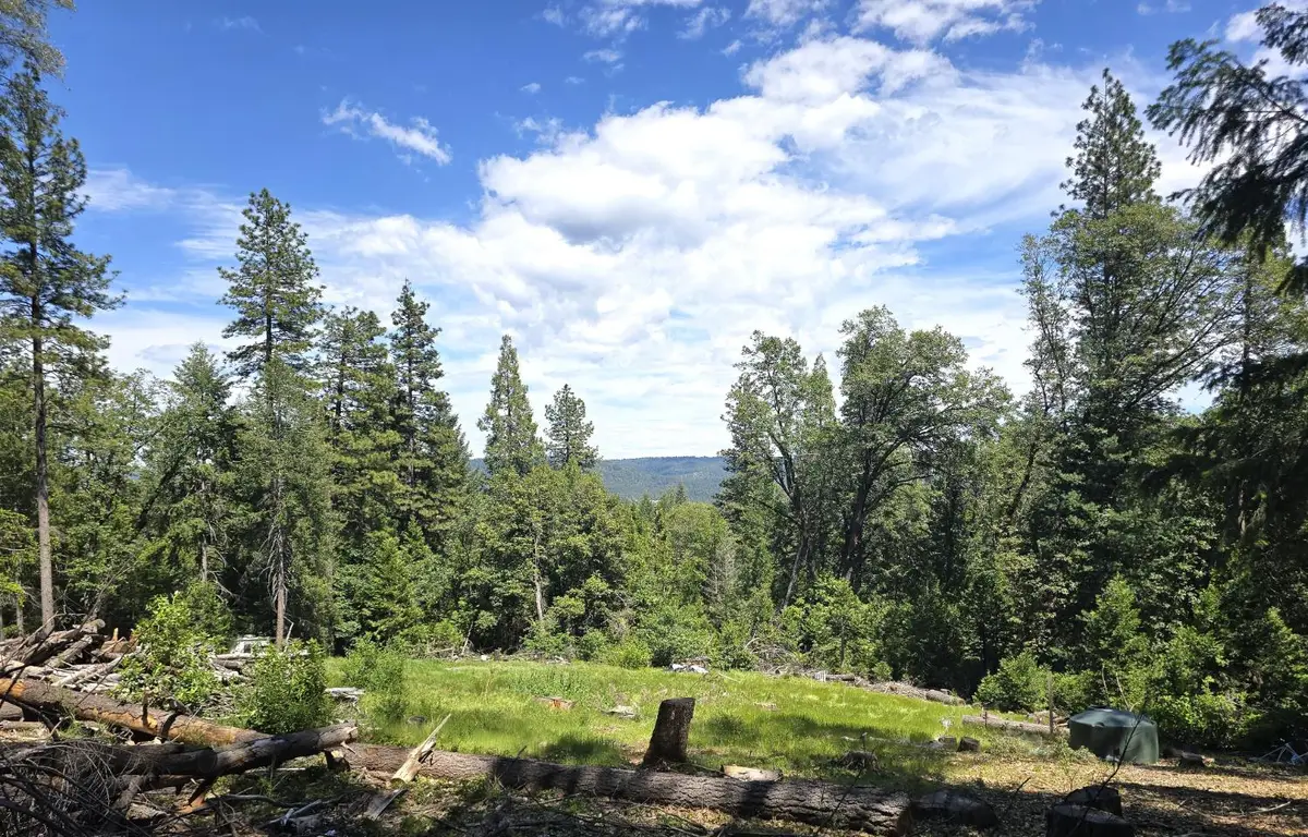 14599 Tumbling Creek, Nevada City, CA 95959 - #1