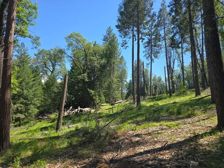 14599 Tumbling Creek, Nevada City, CA 95959 - #3