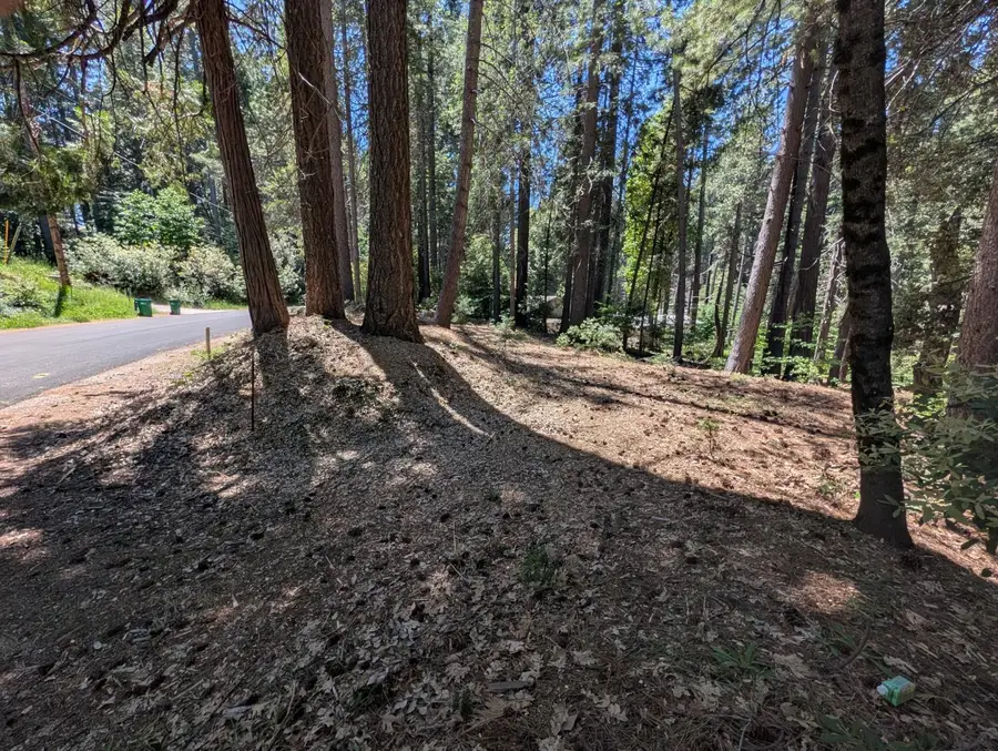 16819 Pasquale Road, Nevada City, CA 95959 - #2
