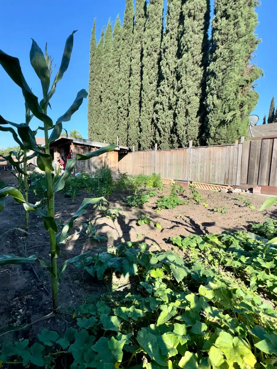3748 E Miner Avenue, Stockton, CA 95215 - #3