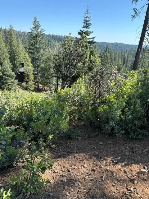 1088 Greensboro Way, Arnold, CA 95223 - #1