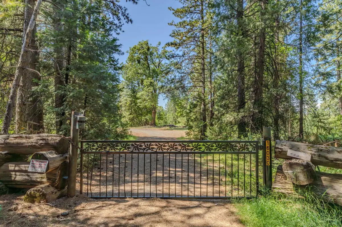 16030 Schaefer Ranch Road, Pioneer, CA 95666 - #1