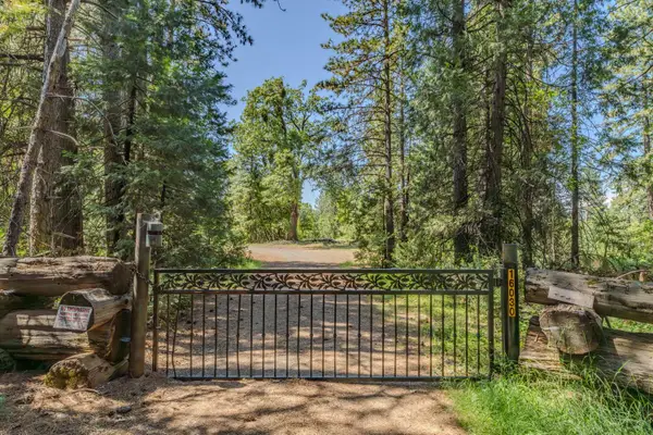 16030 Schaefer Ranch Road, Pioneer, CA 95666