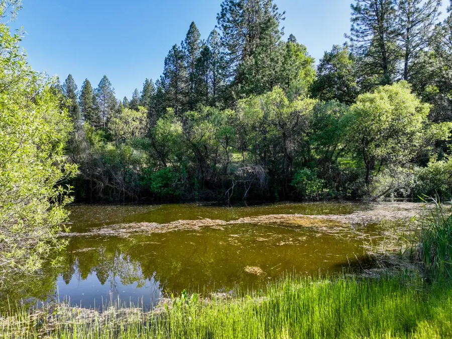 13194 Kentucky Flat Road, Nevada City, CA 95959 - #2