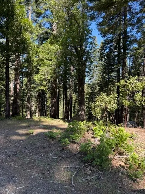 1619 Shoshone, Dorrington, CA 95223