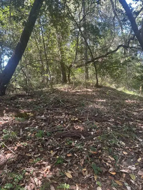 0 Jarvis Rd, Santa Cruz, CA 95065