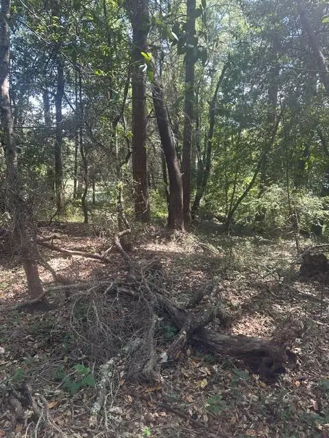 0 Jarvis Rd, Santa Cruz, CA 95065 - #2