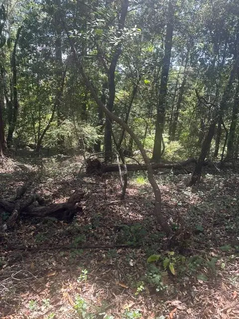 0 Jarvis Rd, Santa Cruz, CA 95065 - #3