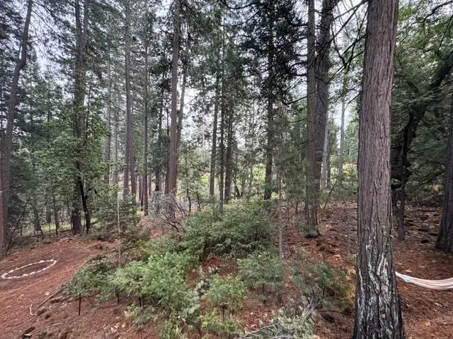 6017 Sly Park Road, Placerville, CA 95667 - #3