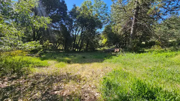 0 North Canyon Way, Colfax, CA 95713