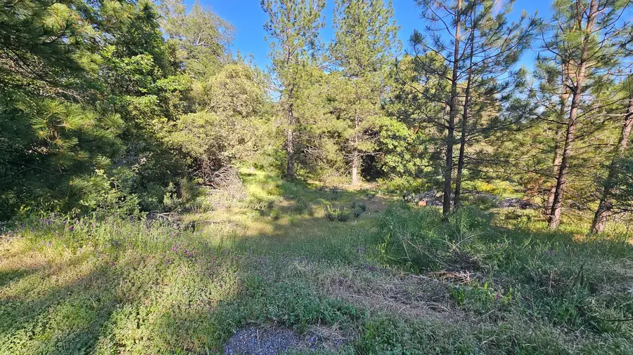 0 North Canyon Way, Colfax, CA 95713 - #3