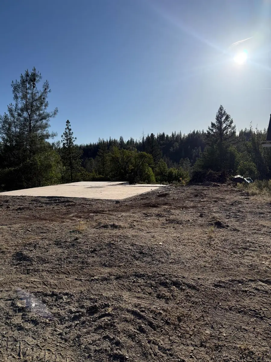 485 Manzanita Trail, Georgetown, CA 95634 - #2