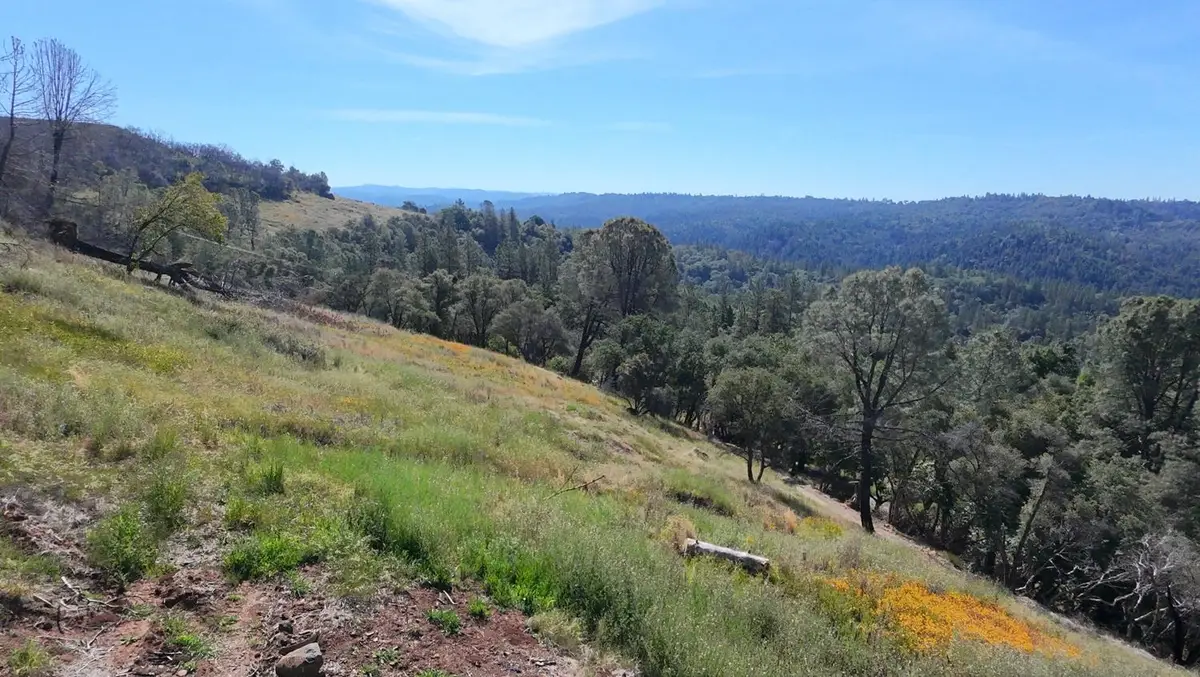 1687 Duden Drive, Placerville, CA 95667 - #1