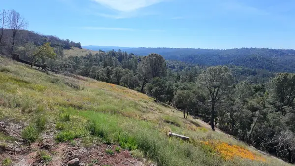 1687 1687 Duden Drive, Placerville, CA 95667