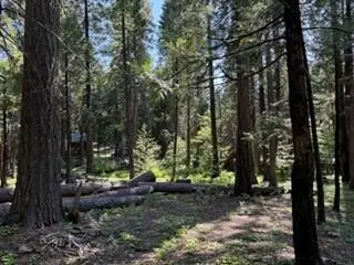 216 Mewko Way, Camp Connell, CA 95223 - #1