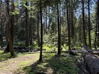 216 Mewko Way, Camp Connell, CA 95223 - #2