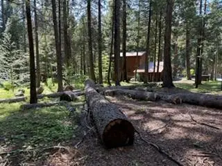 216 Mewko Way, Camp Connell, CA 95223 - #3