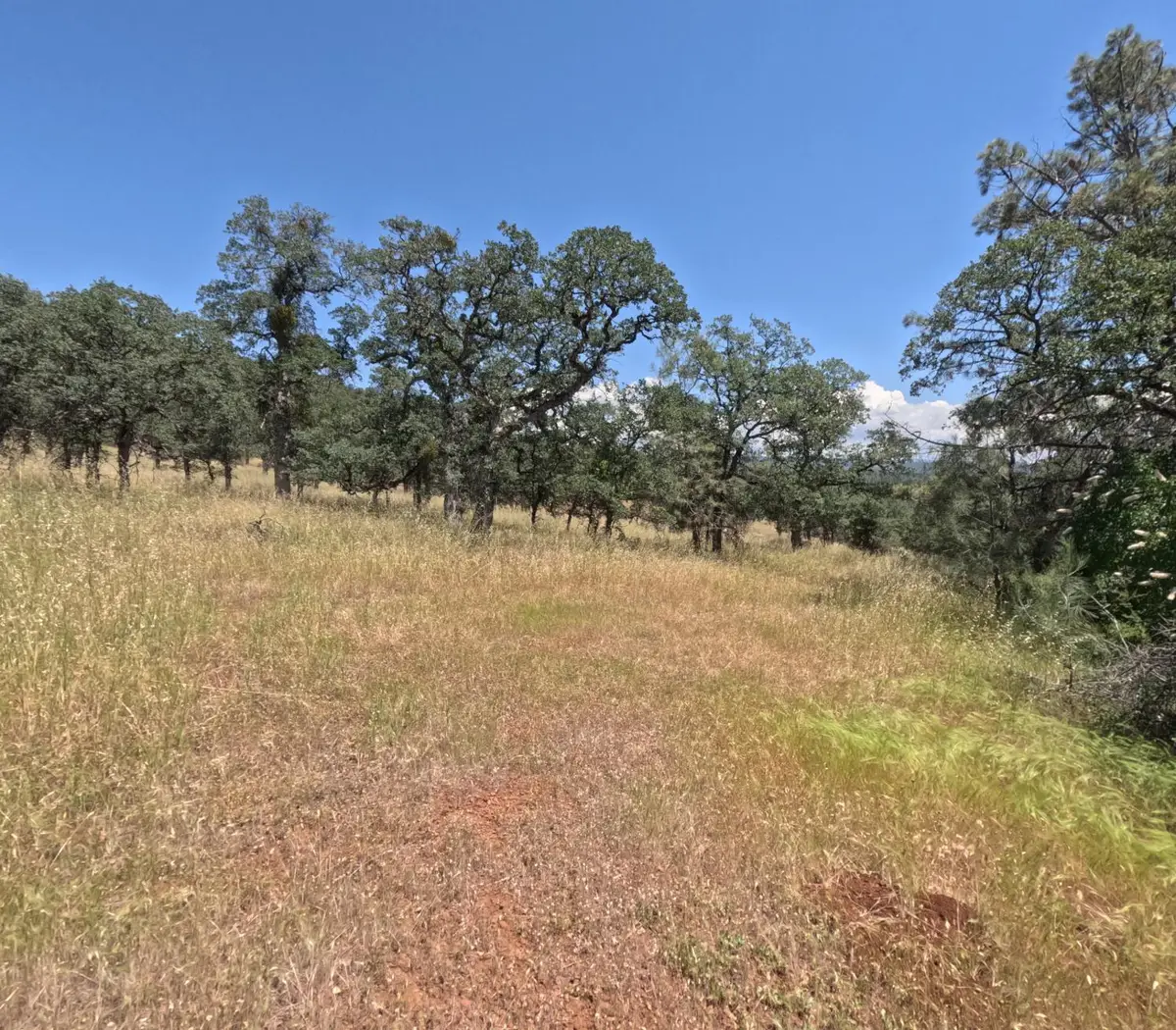 0 Hazen Road, Manton, CA 96059 - #1