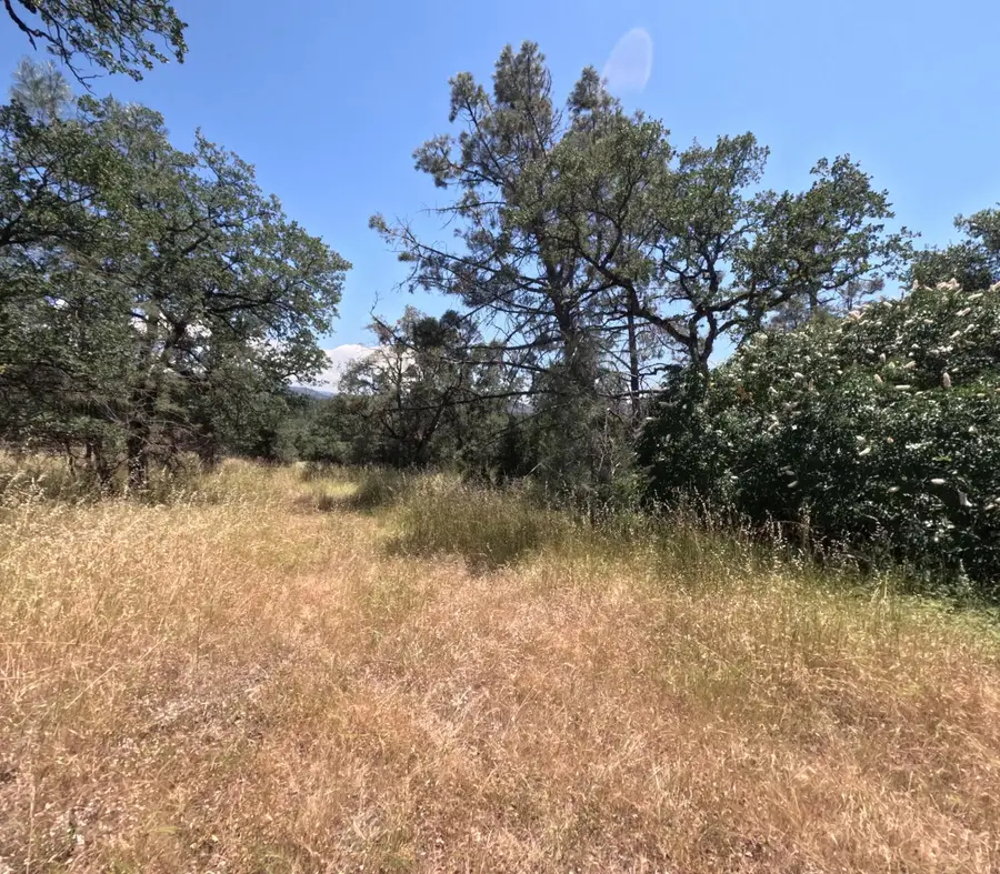 0 Hazen Road, Manton, CA 96059 - #3