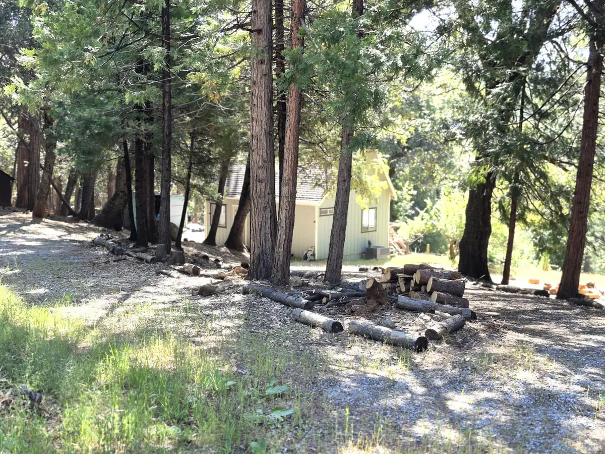 25750 Aspen Court, Volcano, CA 95689 - #1