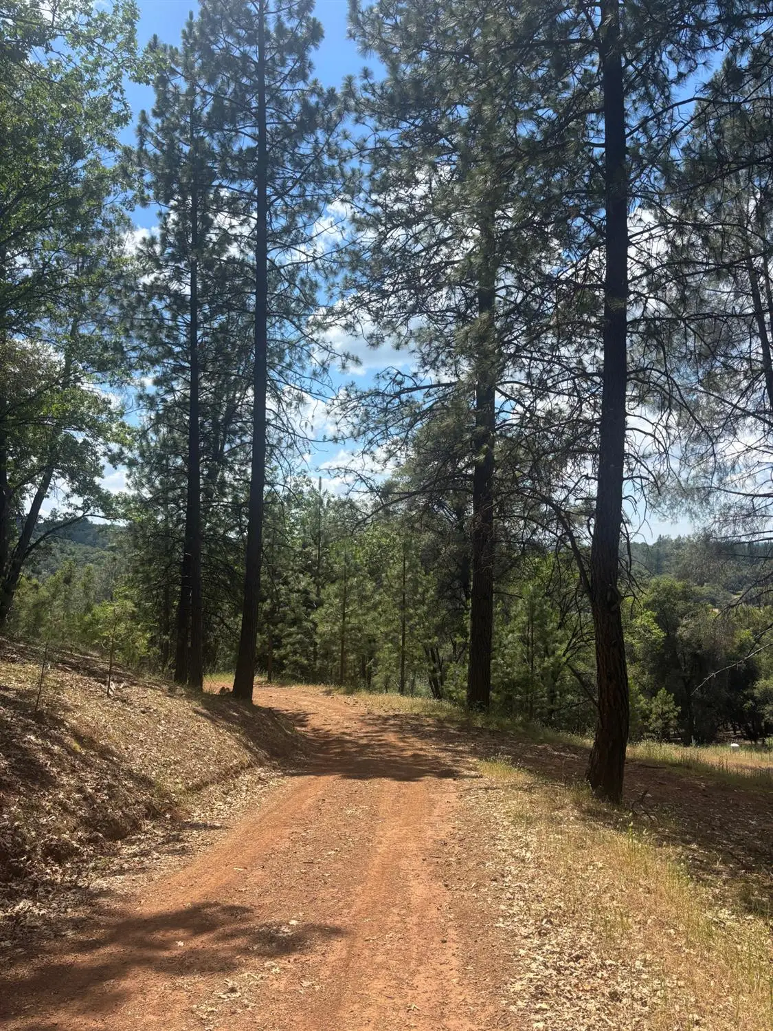 21109 Adamson Drive, Grass Valley, CA 95949 - #1