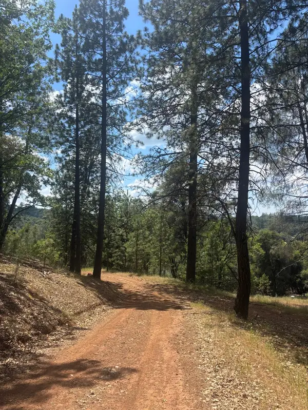 21109 Adamson Drive, Grass Valley, CA 95949