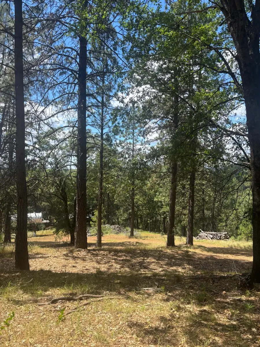 21109 Adamson Drive, Grass Valley, CA 95949 - #2