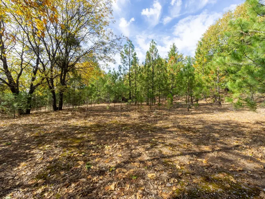 5031 Anne Louise Lane, Placerville, CA 95667 - #2