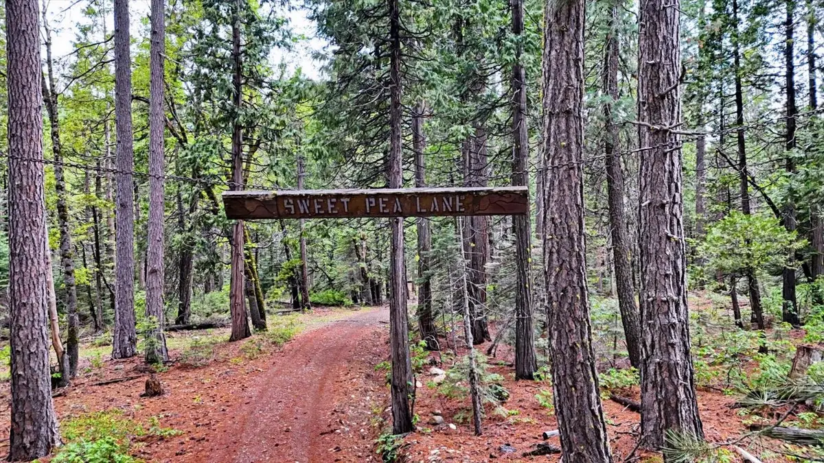 0 Texas Hill Rd, Emigrant Gap, CA 95715 - #1