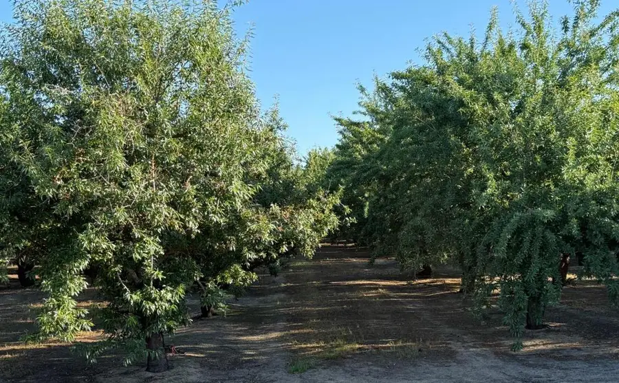 2700 North Avenue, Modesto, CA 9535 - #3