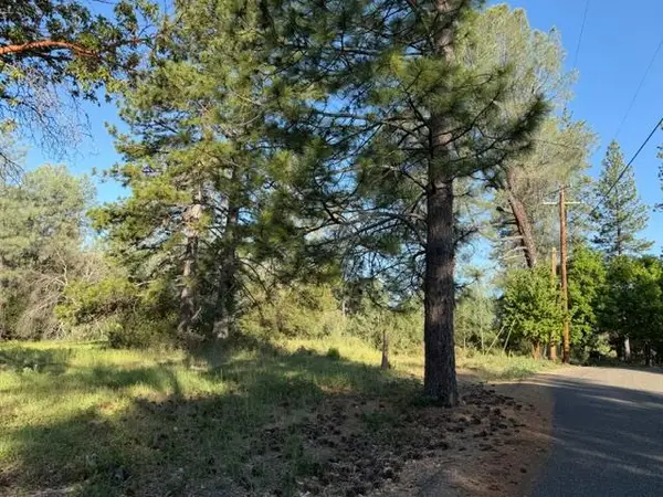 9030 Orval Beckett Court, Placerville, CA 95667