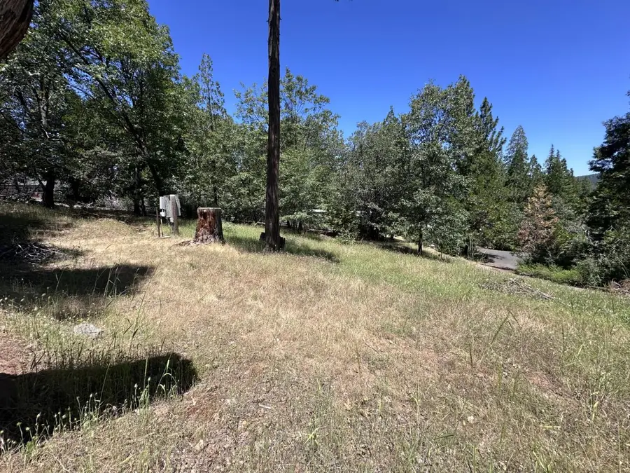 3720 Cedar Vista, Murphys, CA 95247 - #2