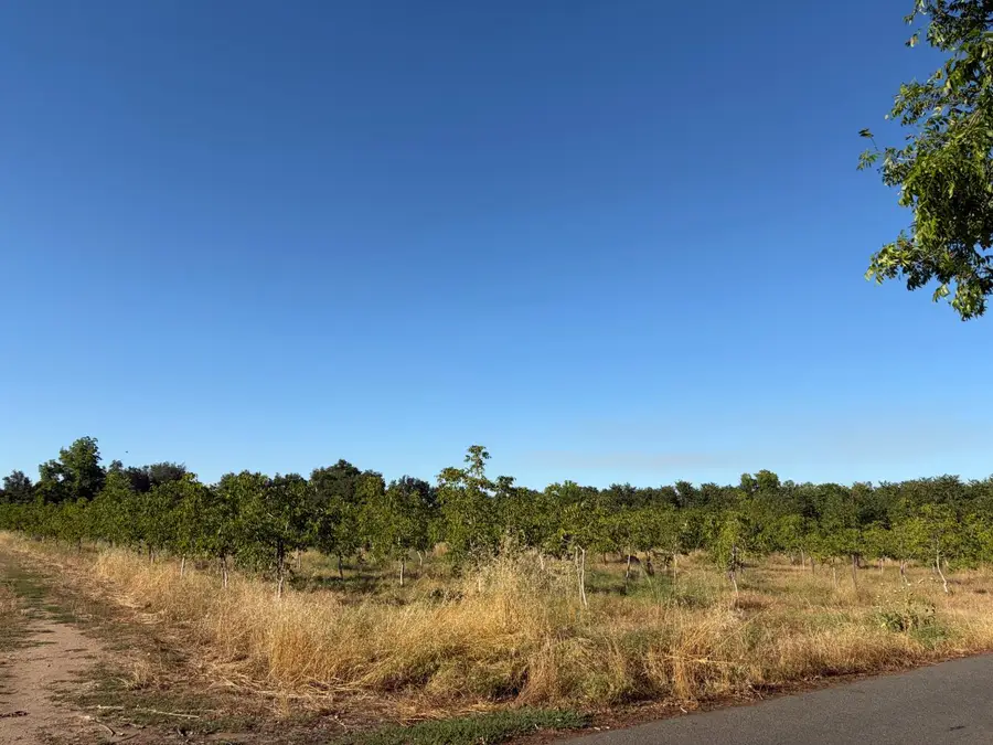 0 Obermeyer Avenue, Gridley, CA 95948 - #3