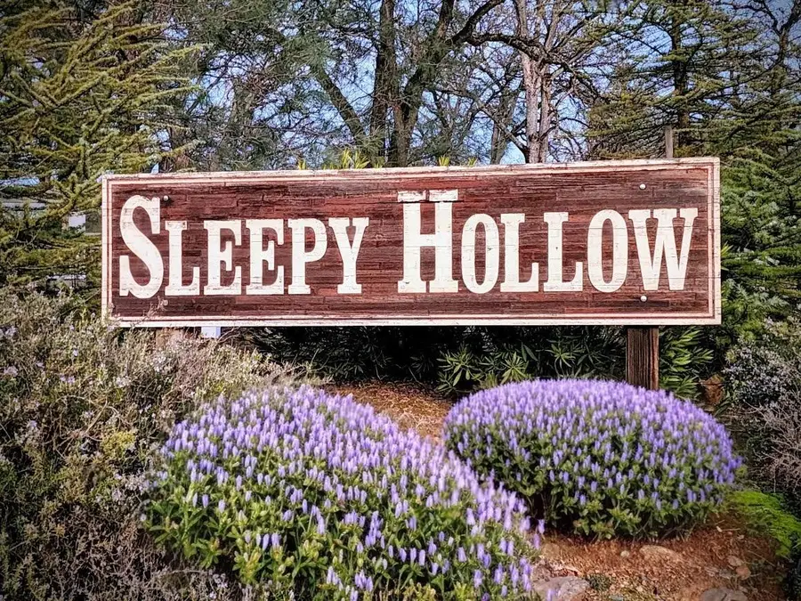 2660 Sleepy Hollow Drive, Shingle Springs, CA 95682 - #3