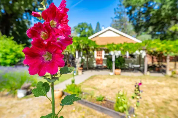 2020 Alexander Lane, Placerville, CA 95667
